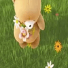 Flowers for You