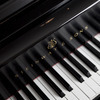 A Classical Serenade