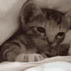 having a lazy day today
