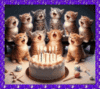 with love from the birthday herd