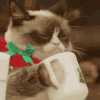 *shhh* coffee first