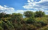 Blue skies ahead