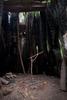 Ancient Dark Magicks 