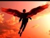 Fly into my Dreams