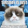 Tuesday!