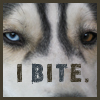 pet me