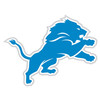 GO DETROIT LIONS