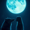 Moonlight Magic