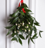 Kisses under the Mistletoe
