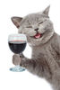 I purred you a drink…