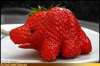 a strawberrysaurus