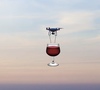 Wine drone delivery
