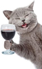 I purred you a drink