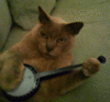 i want to play the banjo for you
