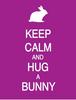 Hug a Bunny