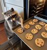 Warm cookies! 