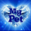 My Pet Is Special To Me