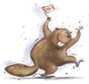 A Little Canadian Beaver