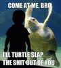 Turtle Slap!!!