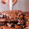 A Double Chocolate Brownie