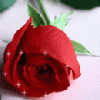 Happy Valentines Day ♥