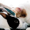 *HUGGLES*