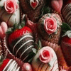 Chocolate Dipped Strawberries