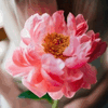 I Picked You A Flower