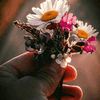 I Gathered These Along The Way