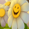 Happy Thoughts :)