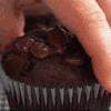 A Chocolate Cupcake