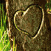 I Was Here