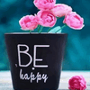 Have A Happy Day