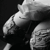 A Rose