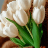 Flowers From A Friend 