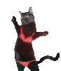 A CAT DANCE