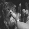 Sweet little nibbles on you ~