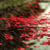 ♫ The sound of rain ♫
