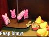 A Peep Show for You