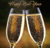 Cheers to the New Year! 