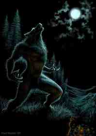 lonewolf2010 