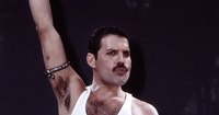 Freddie 