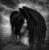 DaRk AnGeL