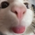 Ember 