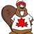 Canadian Beaver