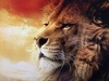 lion king