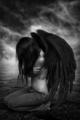 DaRk AnGeL