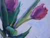 Tulip 