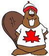 Canadian Beaver