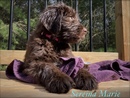 Sereina Marie